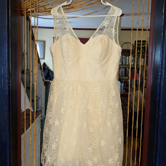 Chi chi London ivory lace fit and flare dress 14 - Picture 4 of 7